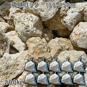  Ώ ϐ i bN/ΊD΁i100`250mmj10܃Zbg/v200kgK[fbN K[fjO ꗮΊD DIY Ԓd  KrI Ӑ y r