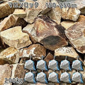  I VR bNK[f }bNi150`250mmj10܃Zbg/v200kgK[fbN K[fjO DIY Ԓd  KrI Ӑ y r