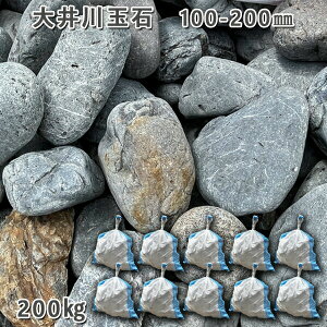  R Y  ʐ΁i100`200mmj10܃Zbg/v200kgK[fbN K[fjO DIY Ԓd  KrI Ӑ y r