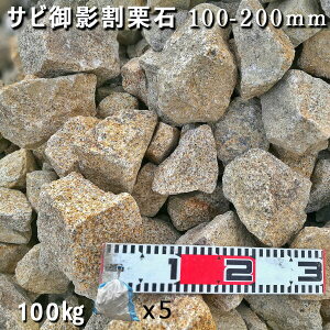  I Ӑ e΂Ђ邩eTrI΁i100`200mmj5܃Zbg/v100kgK[fbN K[fjO DIY Ԓd  KrI Ӑ y rbNK[f