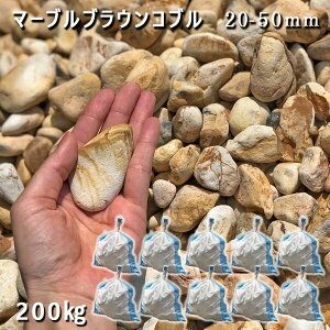   Β  ύ VR ʍ }[uuERui20-50mmj10܃Zbg/v200kg  a m K[fjOӐ  W ~