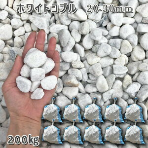   Β  ύ 뉀 | ʍzCgRui20-30mmj10܃Zbg/v200kg VJ  a m K[fjO | DIY~ Ԓd ANAE eE r