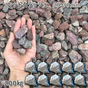   Β  ύ 뉀 | ʍbhNbVi20-30mmj10܃Zbg/v200kg VJ  a m K[fjO | DIY~ Ԓd ANAE eE 