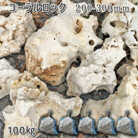 庭石 珊瑚石 自然石コーラルロック（200～300mm）1～2個入り5袋セット/計約100kgガーデンロック ガーデニング おしゃれDIY 花壇 造園 ガビオン 砕石 土留め 池ロックガーデン