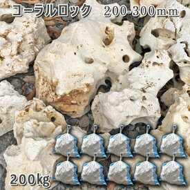 庭石 珊瑚石 自然石 コーラルロック（200～300mm）1～2個入り10袋セット/計約200kgガーデンロック ガーデニング おしゃれDIY 花壇 造園 ガビオン 砕石 土留め 池ロックガーデン