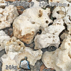 庭石 珊瑚石 自然石コーラルロック（200～300mm）1～2個入り1袋（約20kg）ガーデンロック ガーデニング おしゃれDIY 花壇 造園 ガビオン 砕石 土留め 池ロックガーデン