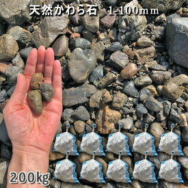 楽天市場 ビオトープ 砂利の通販 楽天市場 ビオトープ 砂利の通販