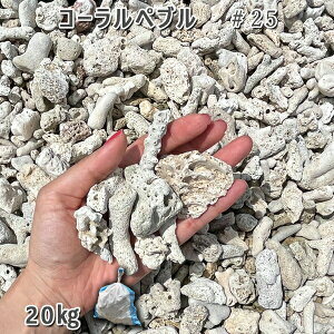  Β  ύ R[yuiTSj#251܁i20kgj VJ  a m K[fjO | DIY~ Ԓd ANAE eE rIg[v r