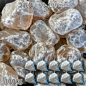   KXS^ KX KX^u RnNi60-100mmj10܃Zbg/v100kgK[fbN K[fjO DIY Ԓd  KrI Ӑ y r