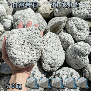  낽 ؒ Av[`e n΁i90`120mmj5܃Zbg/v50kgK[fbN K[fjO DIY Ԓd  KrI Ӑ y r
