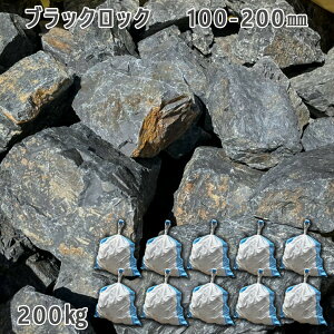  낽 ؒ Av[`e ubNbNi100-200mmj10܃Zbg/v200kgK[fbN K[fjO DIY Ԓd  KrI Ӑ y r