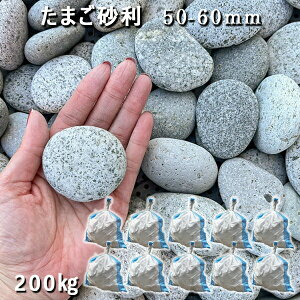   Β  ʍ ύ VR܂i50-60mmj10܃Zbg/v200kg  a m K[fjOӐ  W ~