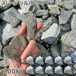   Β  ύ X[gOx@Vo[O[ 20-60mm10܃Zbg/v200kg VJ  a m K[fjO | DIY~ Ԓd ANAE eE 