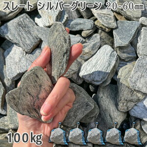   Β  ύ X[gOx@Vo[O[ 20-60mm5܃Zbg/v100kg VJ  a m K[fjO | DIY~ Ԓd ANAE eE r