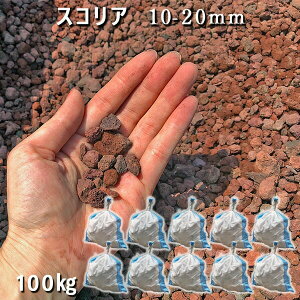   Β  ύ VR n bNK[fXRAi10-20mmj10܃Zbg/v100kg  a m K[fjOhbO Ӑ  W ~