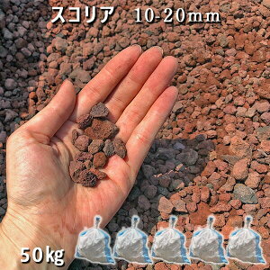   Β  ύ VR n bNK[fXRAi10-20mmj5܃Zbg/v50kg  a m K[fjOhbO Ӑ  W ~