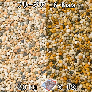  Β  ύt[WA 3i6-8mmj 1܁i20kgj@l  llxX~ߑEԎws~ Ԓd ANAE eE rIg[v r