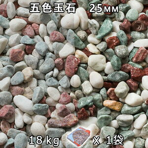  Β  ύܐFʐ XHi25mmj 1܁i18kgj@l  llxX~ߑEԎws~ Ԓd ANAE eE rIg[v r