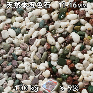 砂利 石庭 庭石 化粧砂利天然本五色石 3分(11-16mm)5袋セット/計約100kg法人宛 又は 個人様支店止め代引・時間指定不可砂利 シ゛ャリ おしゃれ 和風 洋風 ガーデニング 園芸 DIY敷き砂利 花壇