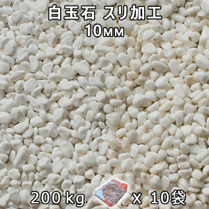  Β  ύʐ XH i10mmj10܃Zbg/v200kg@l  llxX~ߑEԎws~ Ԓd ANAE eE rIg[v r