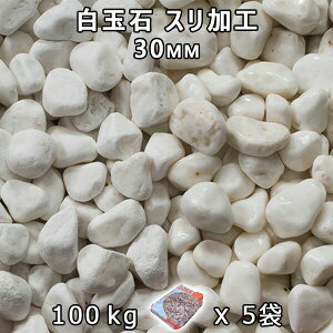  Β  ύʐ XH i30mmj5܃Zbg/v100kg@l  llxX~ߑEԎws~ Ԓd ANAE eE rIg[v r