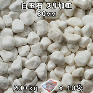  Β  ύʐ XH i30mmj10܃Zbg/v200kg@l  llxX~ߑEԎws~ Ԓd ANAE eE rIg[v r