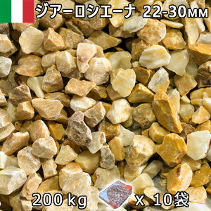 C^AY  Β  ύITALY WA[VG[ii22-30mmOj 10܃Zbg/v200kg@l  llxX~ߑEԎws~ Ԓd ANAE eE rIg