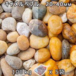  Β  ύL؃u Mi20-40mmj5܃Zbg/v100kg@l  llxX~ߑEԎws VJ  a m K[fjO | DIY~ Ԓd 