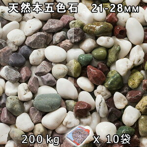  Β  ύVR{ܐF i21-28mmj10܃Zbg/v200kg@l  llxX~ߑEԎws~ Ԓd ANAE eE rIg[v r