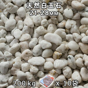  Β  ύVRʐ i21-28mmj10܃Zbg/v200kg@l  llxX~ߑEԎws VJ  a m K[fjO | DIY~ Ԓd A