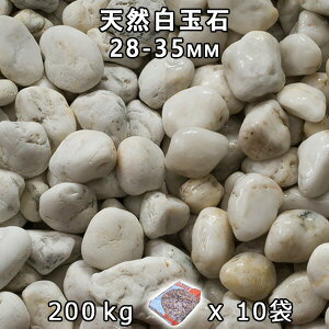  Β  ύVRʐ i28-35mmj10܃Zbg/v200kg@l  llxX~ߑEԎws VJ  a m K[fjO | DIY~ Ԓd A