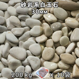  Β  ύnʐ΁i30mmj10܃Zbg/v200kg@l  llxX~ߑEԎws VJ  a m K[fjO | DIY~ Ԓd AN