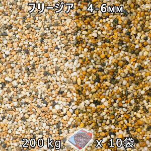  Β  ύt[WA 2i4-6mmj10܃Zbg/v200kg@l  llxX~ߑEԎws~ Ԓd ANAE eE rIg[v r