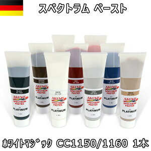 アケミスペクトラム ペースト ホワイトマシ゛ック CC1150/1160 1本 11537 AKEMI 石材用 充填 接着 メンテナンス 宅配便での発送予定