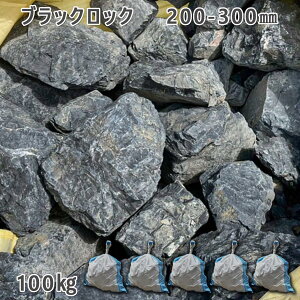  낽 ؒ Av[`e ubNbNi200-300mmj5܃Zbg/v100kgK[fbN K[fjO DIY Ԓd  KrI Ӑ y r