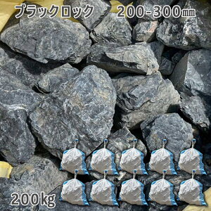  낽 ؒ Av[`e ubNbNi200-300mmj10܃Zbg/v200kgK[fbN K[fjO DIY Ԓd  KrI Ӑ y r