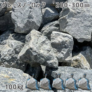  낽 ؒ Av[`e O[Xm[bNi200`300mmj5܃Zbg/v100kgK[fbN K[fjO DIY Ԓd  KrI Ӑ y r