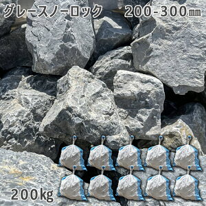  낽 ؒ Av[`e O[Xm[bNi200`300mmj10܃Zbg/v200kgK[fbN K[fjO DIY Ԓd  KrI Ӑ y r