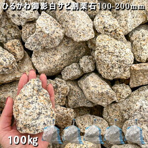  I Ӑ e΂Ђ邩eTrI΁i100`200mmj5܃Zbg/v100kgK[fbN K[fjO DIY Ԓd  KrI Ӑ y rbNK[f