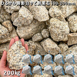  I Ӑ e΂Ђ邩eTrI΁i100`200mmj10܃Zbg/v200kgK[fbN K[fjO DIY Ԓd  KrI Ӑ y rbNK[f