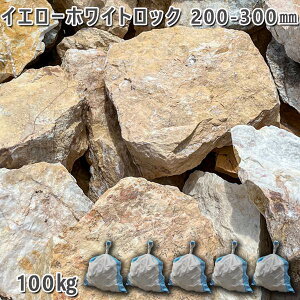  I VR bNK[f CG[zCgbNi200`300mmj1`35܃Zbg/v100kgK[fbN K[fjO DIY Ԓd  KrI Ӑ y r