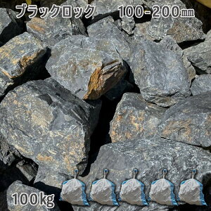  낽 ؒ Av[`e ubNbNi100-200mmj5܃Zbg/v100kgK[fbN K[fjO DIY Ԓd  KrI Ӑ y r