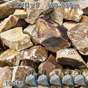  I VR bNK[f }bNi150`250mmj5܃Zbg/v100kgK[fbN K[fjO DIY Ԓd  KrI Ӑ y r