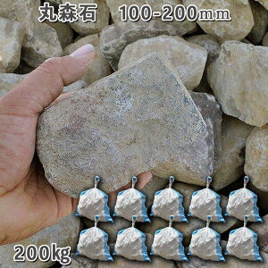  I Ӑ R R ېX΁i100`200mmj10܃Zbg/v200kgK[fbN K[fjO DIY Ԓd  KrI Ӑ y r