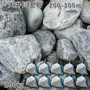  R Y  ʐ΁i200`300mmj2`310܃Zbg/v200kgK[fbN K[fjO DIY Ԓd  KrI Ӑ y r