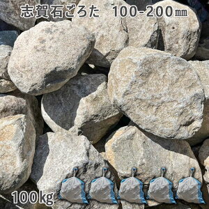  낽 ؒ Av[`e u΂낽i100-200mmj5܃Zbg/v100kgK[fbN K[fjO DIY Ԓd  KrI Ӑ y r