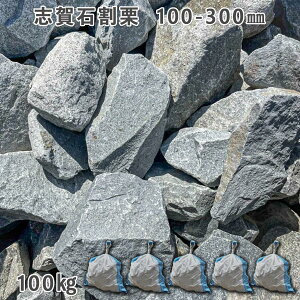  낽 ؒ Av[`e uΊIi100`300mmj5܃Zbg/v100kgK[fbN K[fjO DIY Ԓd  KrI Ӑ y r