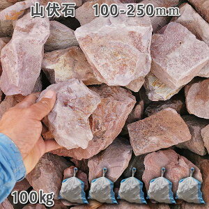  I Ӑ R R R΁i100`250mmj5܃Zbg/v100kgK[fbN K[fjO DIY Ԓd  KrI Ӑ y r