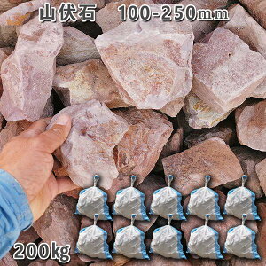  I Ӑ R R R΁i100`250mmj10܃Zbg/v200kgK[fbN K[fjO DIY Ԓd  KrI Ӑ y r