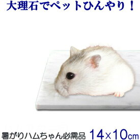 大理石 ペット ひんやり 【 ハムスター 専用 ★ デビューセット 】白 大理石 ※レターパック発送　日時指定不可※石の種類はお任せ下さい ゴールデン 【 SSサイズ 】モルモット ジャンガリアン ゲージ 夏　暑さ　冷感　節電 ペット用品　 石　送料無料